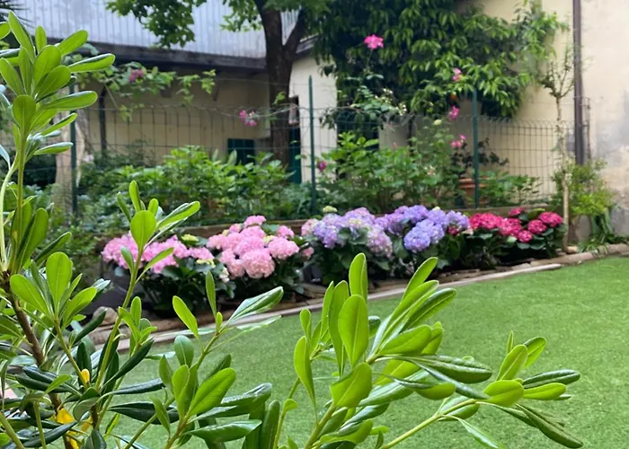 Home Garden Pilastri